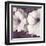 Petunia Array 2-Jurgen Gottschlag-Framed Art Print