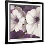 Petunia Array 2-Jurgen Gottschlag-Framed Art Print