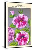 Petunia Nain Compact Rose Du Ciel-null-Framed Stretched Canvas