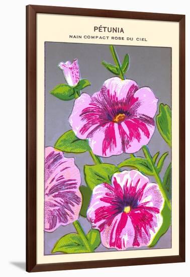 Petunia Nain Compact Rose Du Ciel-null-Framed Art Print