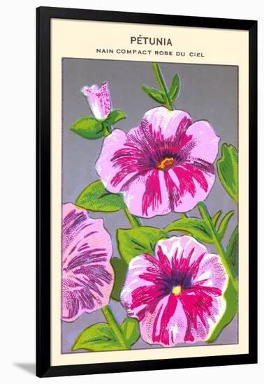 Petunia Nain Compact Rose Du Ciel-null-Framed Art Print