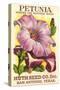 Petunia Seed Packet-null-Stretched Canvas
