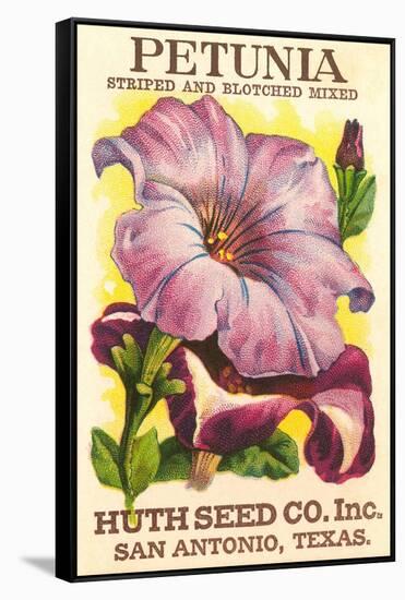 Petunia Seed Packet-null-Framed Stretched Canvas