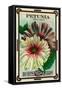 Petunia Seed Packet-Lantern Press-Framed Stretched Canvas