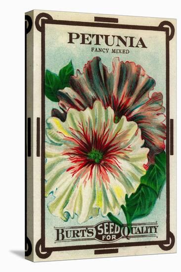 Petunia Seed Packet-Lantern Press-Stretched Canvas