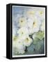 Petunia Snowball-Karen Armitage-Framed Stretched Canvas