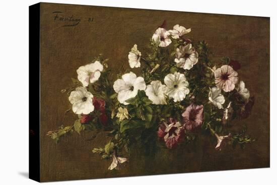 Petunias, 1881-Henri Fantin-Latour-Stretched Canvas