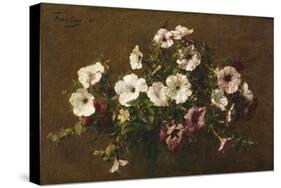 Petunias, 1881-Henri Fantin-Latour-Stretched Canvas