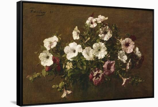 Petunias, 1881-Henri Fantin-Latour-Framed Stretched Canvas