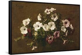 Petunias, 1881-Henri Fantin-Latour-Framed Stretched Canvas