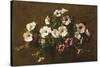 Petunias, 1881-Henri Fantin-Latour-Stretched Canvas