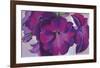 Petunias, c.1925-Georgia O'Keeffe-Framed Art Print