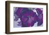 Petunias, c.1925-Georgia O'Keeffe-Framed Art Print