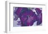 Petunias, c.1925-Georgia O'Keeffe-Framed Art Print