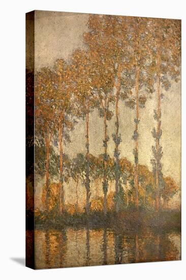 Peupliers au bord de l'Epte, effet de soleil couchant-Claude Monet-Stretched Canvas