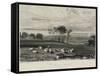 Pevensey Bay, from Crowhurst Park-J. M. W. Turner-Framed Stretched Canvas