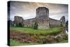 Pevensey Castle, East Sussex, England-Spumador-Stretched Canvas