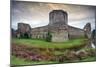 Pevensey Castle, East Sussex, England-Spumador-Mounted Photographic Print
