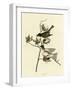 Pewit Flycatcher-null-Framed Giclee Print