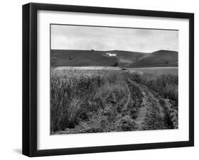 Pewsey White Horse-Fred Musto-Framed Photographic Print