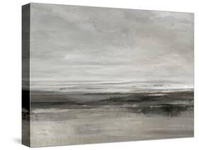 Pewter Coastline - Gaze-Anne Rushout-Stretched Canvas