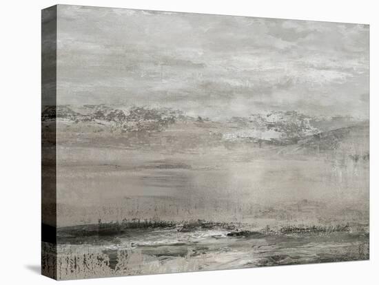 Pewter Coastline - Reflect-Anne Rushout-Stretched Canvas