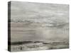 Pewter Coastline - Reflect-Anne Rushout-Stretched Canvas