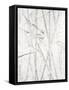 Pewter Forrest I-Vanna Lam-Framed Stretched Canvas