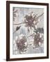 Pewter Petals 1-Jurgen Gottschlag-Framed Art Print