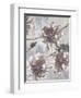 Pewter Petals 1-Jurgen Gottschlag-Framed Art Print