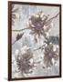 Pewter Petals 1-Jurgen Gottschlag-Framed Art Print