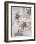 Pewter Petals 2-Jurgen Gottschlag-Framed Art Print