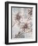 Pewter Petals 2-Jurgen Gottschlag-Framed Art Print