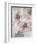 Pewter Petals 2-Jurgen Gottschlag-Framed Art Print