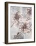 Pewter Petals 2-Jurgen Gottschlag-Framed Art Print