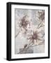 Pewter Petals 2-Jurgen Gottschlag-Framed Art Print