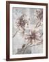 Pewter Petals 2-Jurgen Gottschlag-Framed Art Print