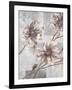 Pewter Petals 2-Jurgen Gottschlag-Framed Art Print