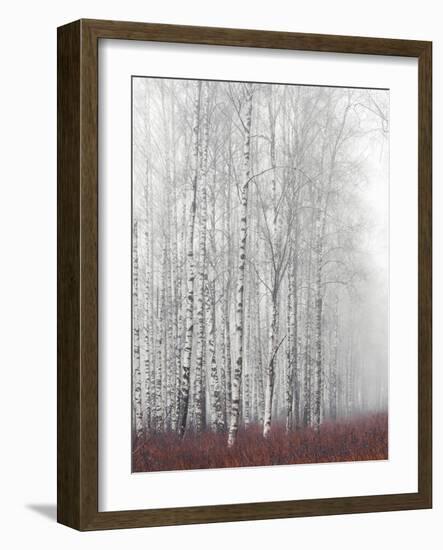 Pewter-Mikael Svensson-Framed Giclee Print