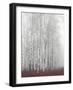 Pewter-Mikael Svensson-Framed Giclee Print