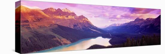 Peyto Lake, Alberta, Canada-null-Stretched Canvas