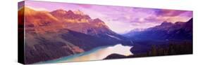 Peyto Lake, Alberta, Canada-null-Stretched Canvas