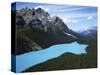 Peyto Lake, Banff National Park, Alberta, Canada-Charles Gurche-Stretched Canvas