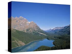 Peyto Lake, Banff Np, Alberta, Canada-Danielle Gali-Stretched Canvas