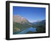 Peyto Lake, Banff Np, Alberta, Canada-Danielle Gali-Framed Photographic Print