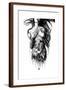 Brown Frame