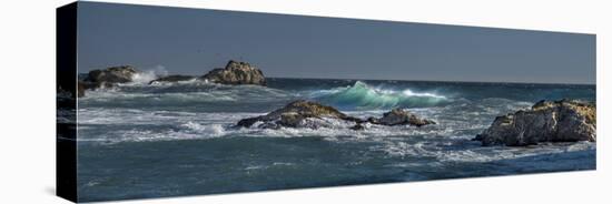 Pfeiffer Beach, Big Sur, California, Crashing Waves in Panorama-Sheila Haddad-Stretched Canvas