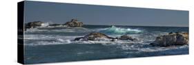 Pfeiffer Beach, Big Sur, California, Crashing Waves in Panorama-Sheila Haddad-Stretched Canvas