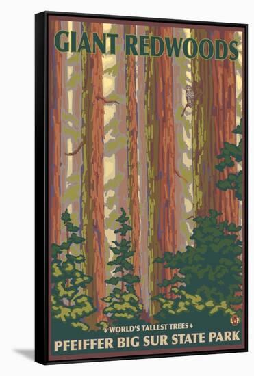 Pfeiffer Big Sur State Park, California - Giant Redwoods-Lantern Press-Framed Stretched Canvas