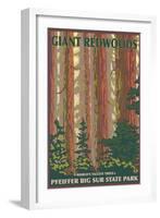 Pfeiffer Big Sur State Park, California - Giant Redwoods-Lantern Press-Framed Art Print